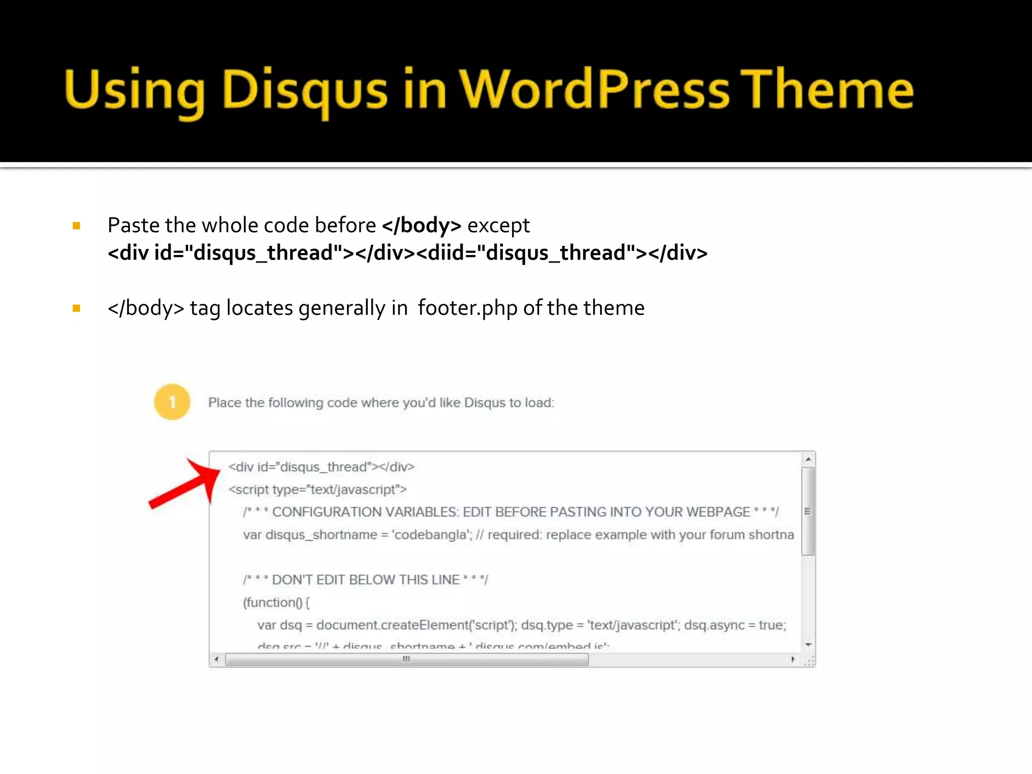  Paste the whole code before </body> except
<div id="disqus_thread"></div><diid="disqus_thread"></div>
 </body> tag locates generally in footer.php of the theme
 