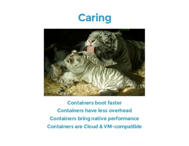 download puppeteer docker for free download puppeteer docker for free