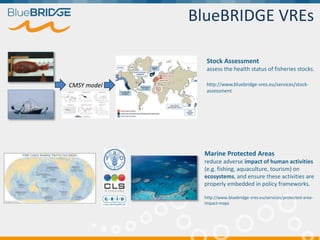BlueBRIDGE VREs
Stock Assessment
assess the health status of fisheries stocks.
http://www.bluebridge-vres.eu/services/stock-
assessment
CMSY model
Marine Protected Areas
reduce adverse impact of human activities
(e.g. fishing, aquaculture, tourism) on
ecosystems, and ensure these activities are
properly embedded in policy frameworks.
http://www.bluebridge-vres.eu/services/protected-area-
impact-maps
 