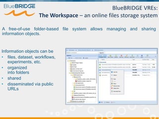 A free-of-use folder-based file system allows managing and sharing
information objects.
Information objects can be
• files, dataset, workflows,
experiments, etc.
• organized
into folders
• shared
• disseminated via public
URLs
BlueBRIDGE VREs:
The Workspace – an online files storage system
 