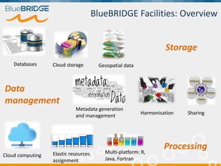Storage
Databases Cloud storage Geospatial data
Metadata generation
and management
Harmonisation Sharing
Data
management
Cloud computing Elastic resources
assignment
Multi-platform: R,
Java, Fortran
Processing
BlueBRIDGE Facilities: Overview
 