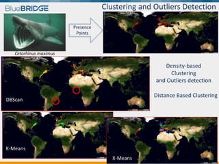 Clustering and Outliers Detection
Presence
Points
Density-based
Clustering
and Outliers detection
Distance Based Clustering
K-Means
X-Means
DBScan
Cetorhinus maximus
 