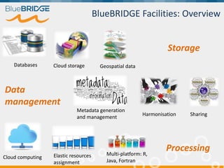 Storage
Databases Cloud storage Geospatial data
Metadata generation
and management
Harmonisation Sharing
Data
management
C...