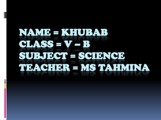 NAME = KHUBAB
CLASS = V – B
SUBJECT = SCIENCE
TEACHER = MS TAHMINA
 