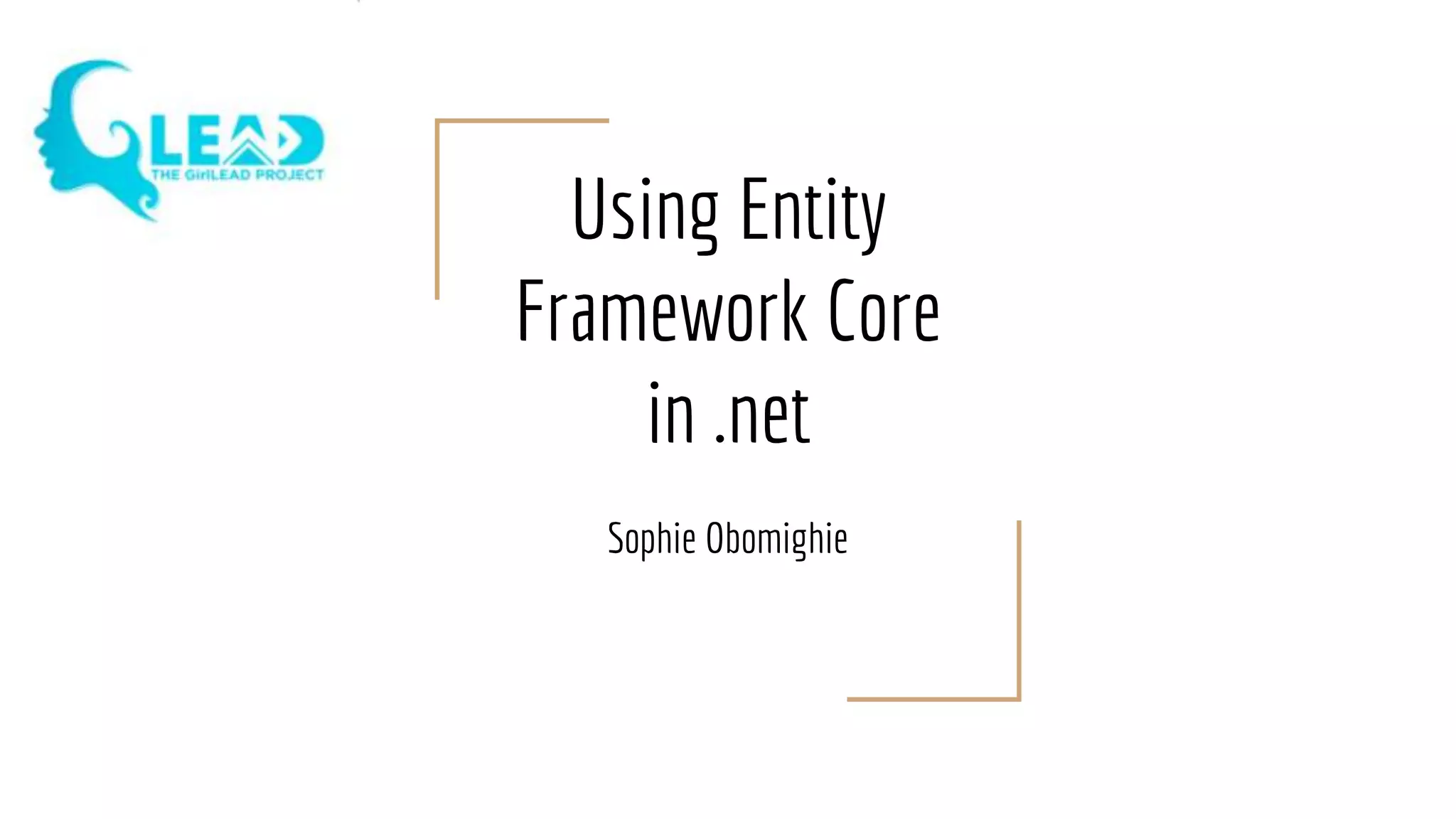 Using entity framework core in .net