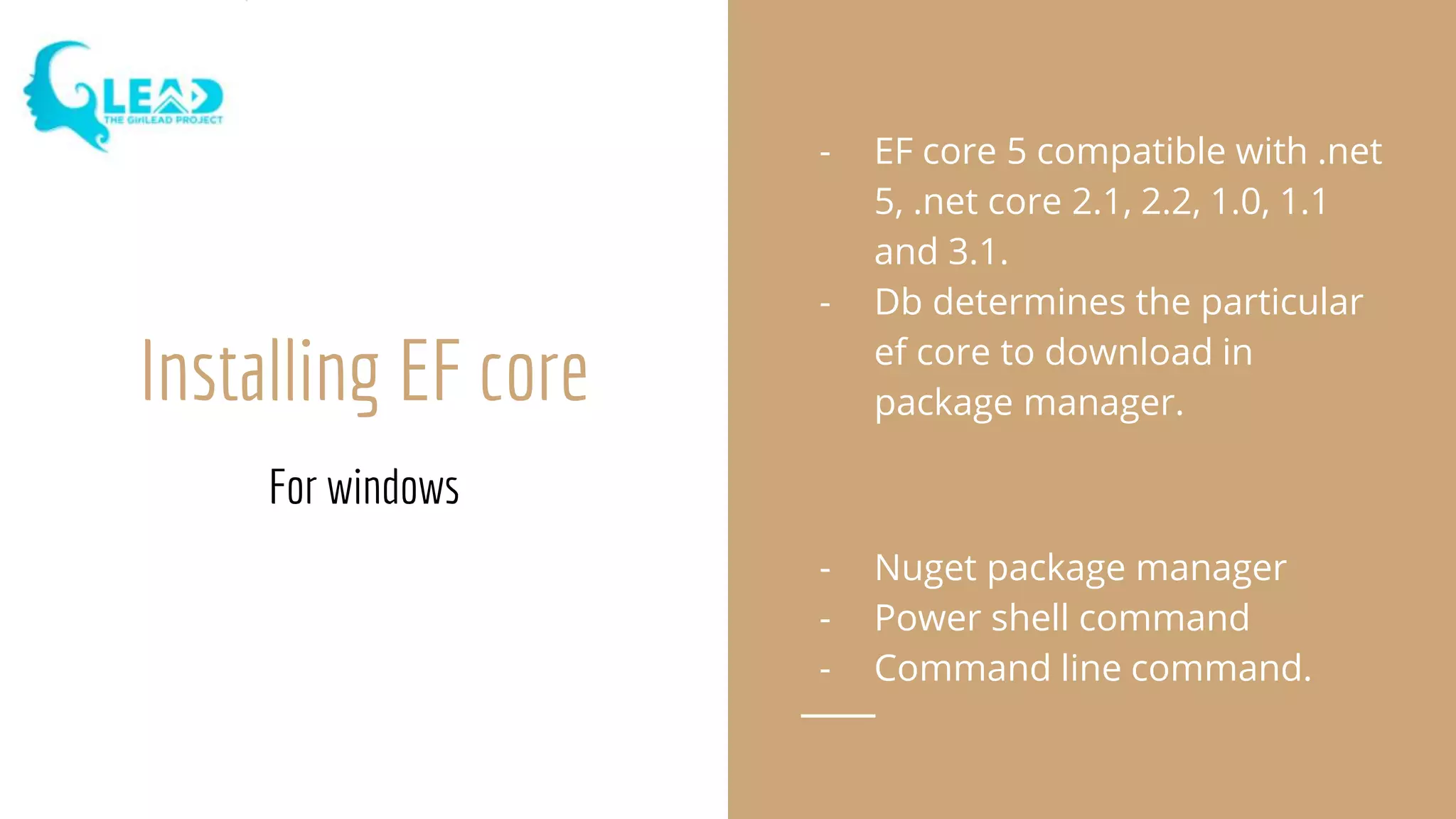 Using entity framework core in .net