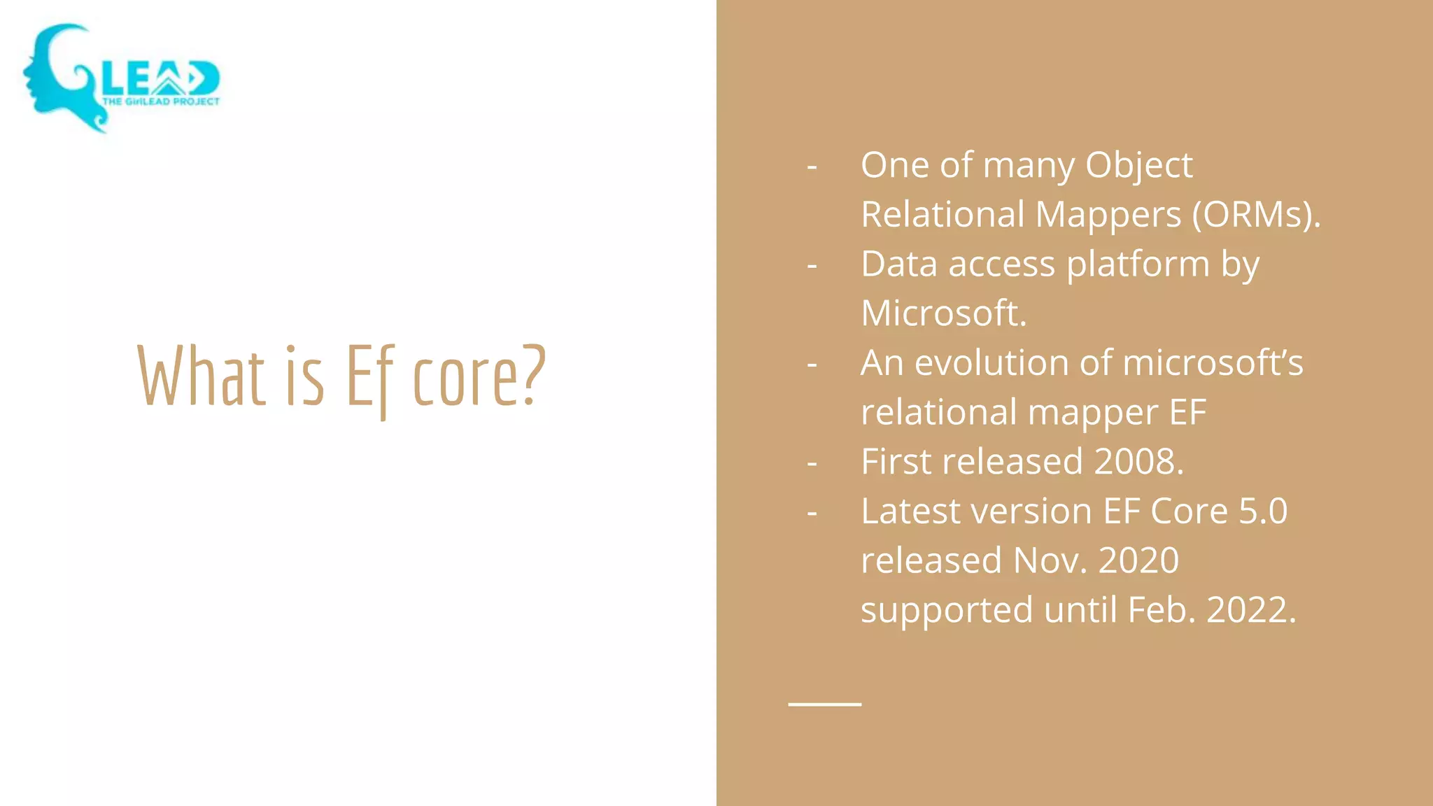 Using entity framework core in .net
