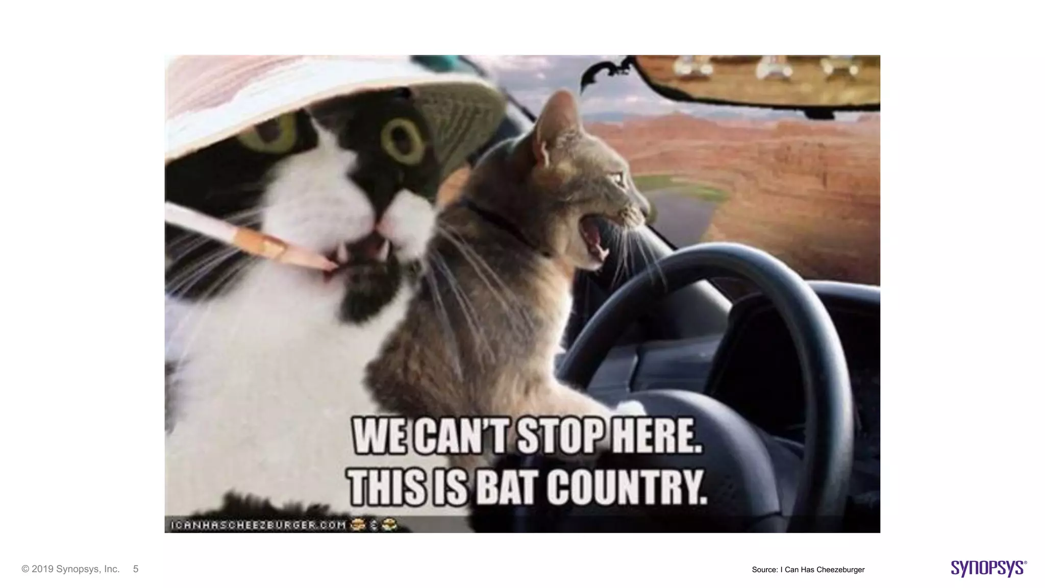 © 2019 Synopsys, Inc. 5 Source: I Can Has Cheezeburger
 