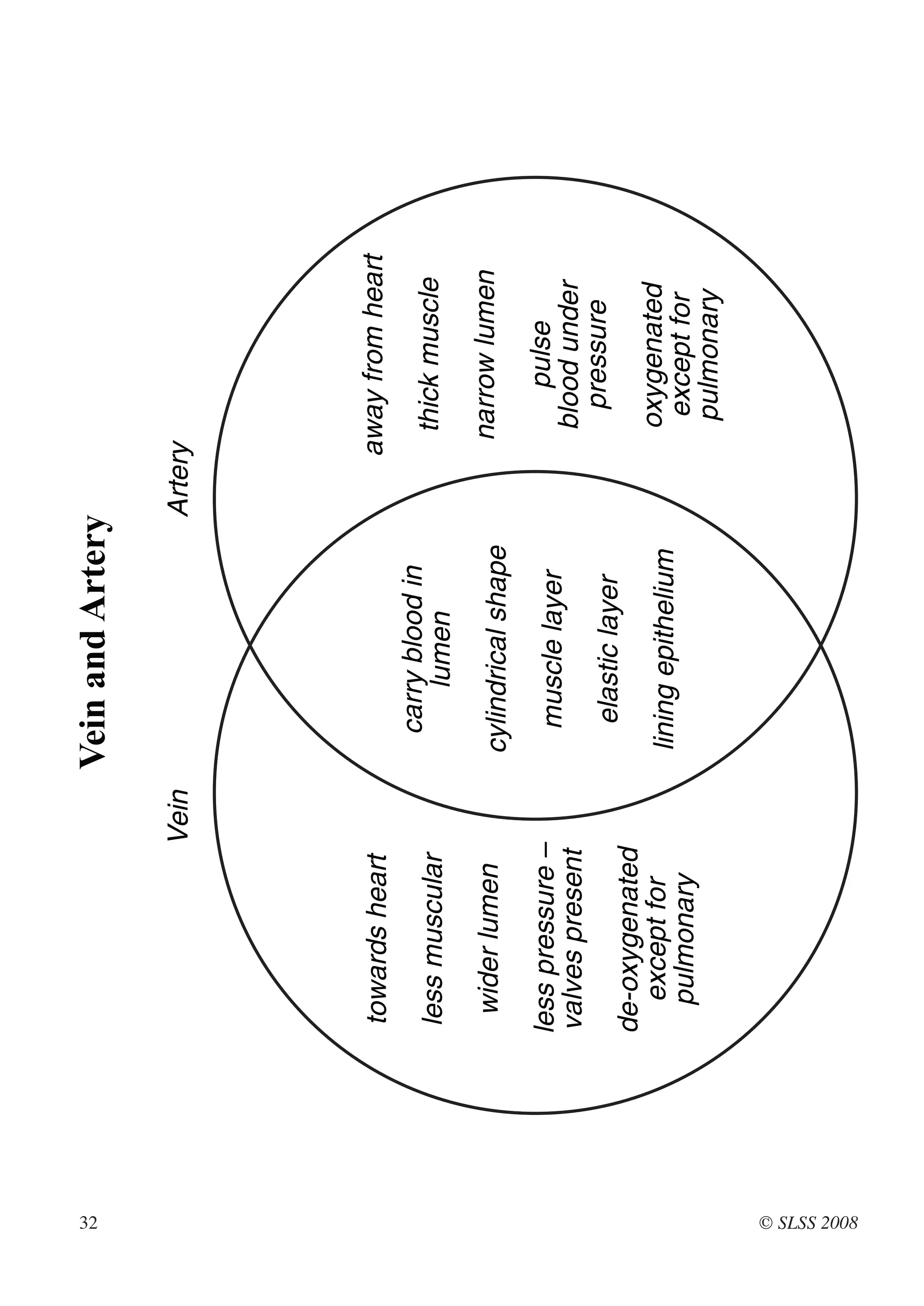 32
                                     Vein and Artery

                              Vein                        Artery




              towards heart                                   away from heart
                                       carry blood in
              less muscular                lumen                   thick muscle

               wider lumen           cylindrical shape             narrow lumen

              less pressure –          muscle layer                    pulse
              valves present                                       blood under
                                        elastic layer                pressure
              de-oxygenated
                except for            lining epithelium            oxygenated
                pulmonary                                           except for
                                                                   pulmonary




© SLSS 2008
 
