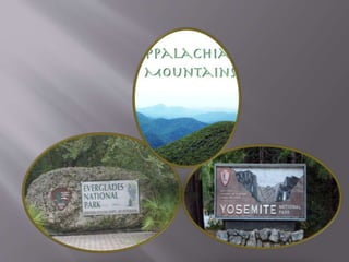 collaborate
participate in the
learning process
are problem solvers
develop language skills
are united in language
 