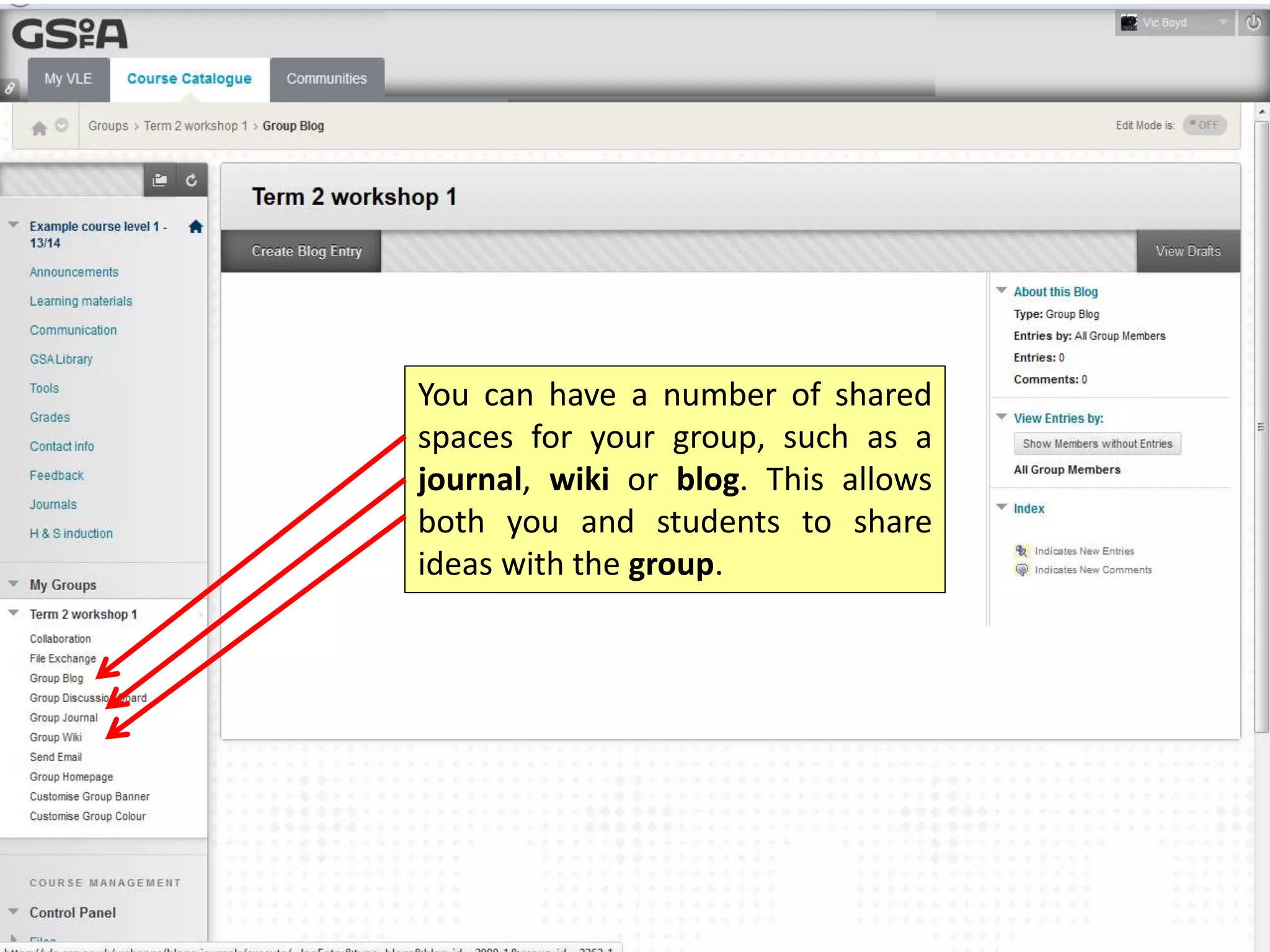 You can have a number of shared
spaces for your group, such as a
journal, wiki or blog. This allows
both you and students to share
ideas with the group.