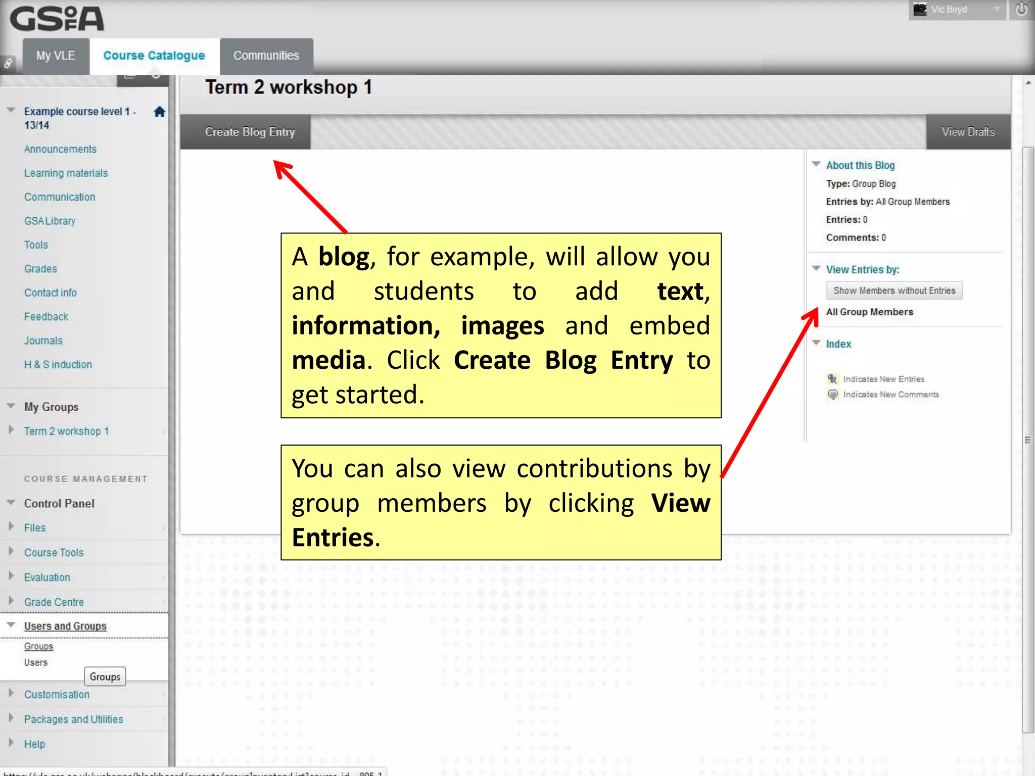 A blog, for example, will allow you
and students to add
text, information, images and
embed media. Click Create Blog
Entry to get started.
You can also view contributions by
group members by clicking View
Entries.