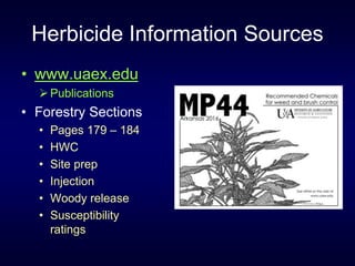 Using Herbicides in Pines and Hardwoods 2016