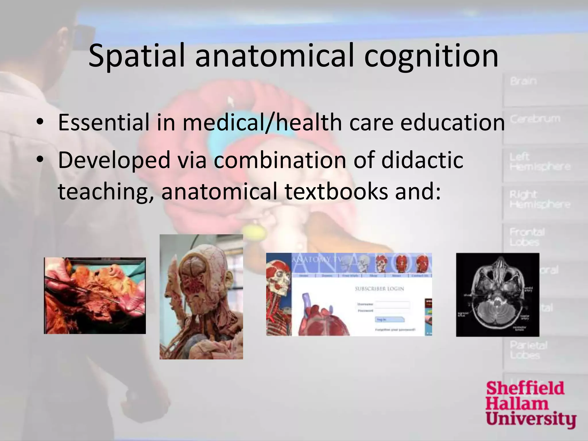 The Anatomical Reality Versus Social Media Fiction