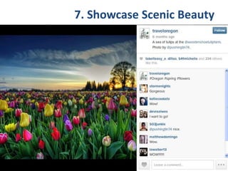 7. Showcase Scenic Beauty
 
