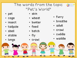 The words from the topic
“Pet’s World”
• pet
• cage
• insect
• tadpole
• shell
• stable
• lungs
• skin
• wheat
• hunter
• feed
• hatch
• fly
• crawl
• furry
• breathe
• adult
• crawl
• cuddle
• waddle
 