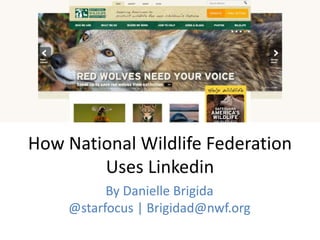 How National Wildlife Federation
Uses Linkedin
By Danielle Brigida
@starfocus | Brigidad@nwf.org
 