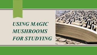 USING MAGIC
MUSHROOMS
FOR STUDYING
 