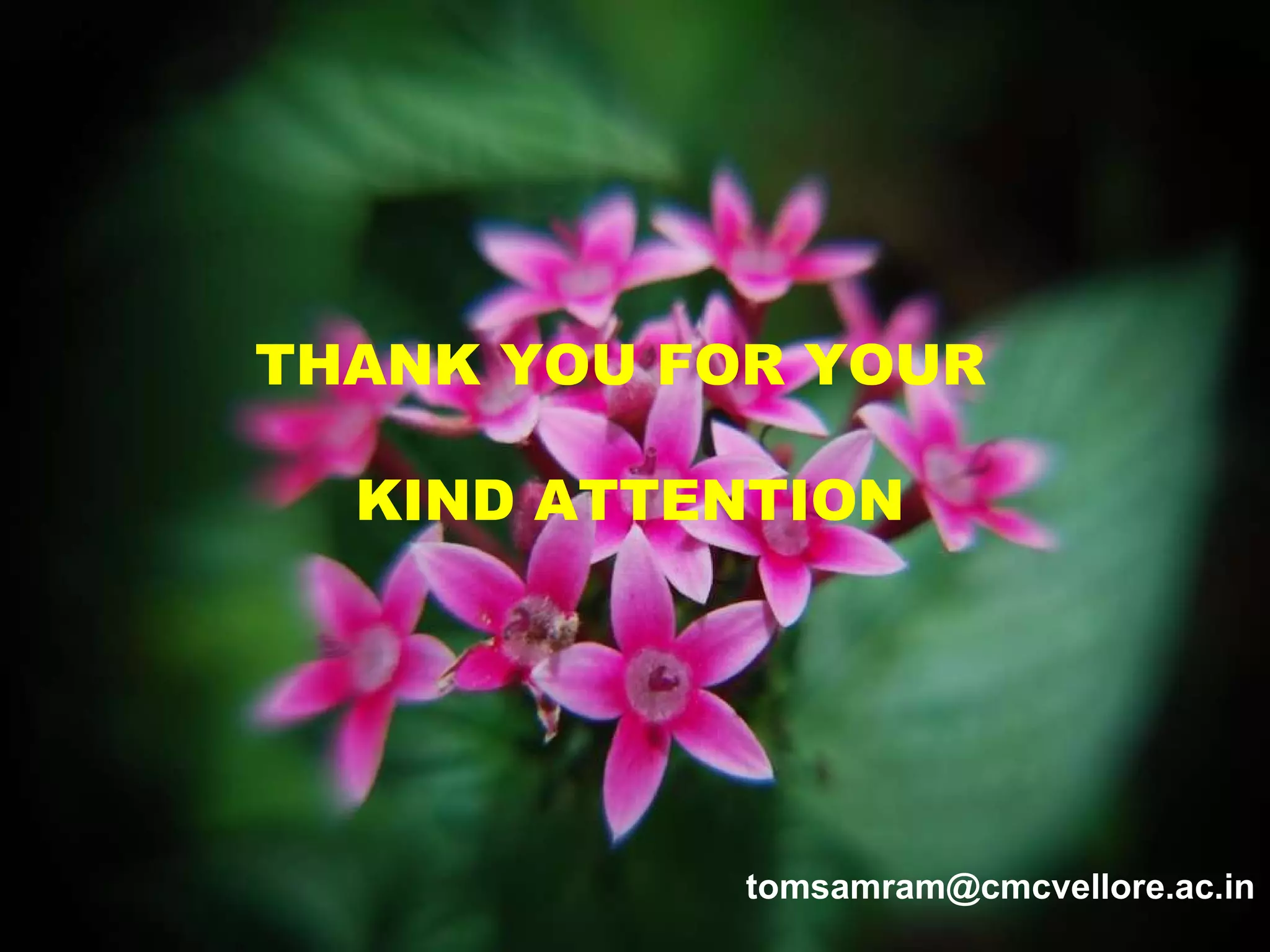 THANK YOU FOR YOUR KIND ATTENTION THANK YOU FOR YOUR  KIND ATTENTION [email_address] 