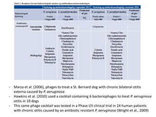 Challenges of using phages in the veterinary world: My learning curve