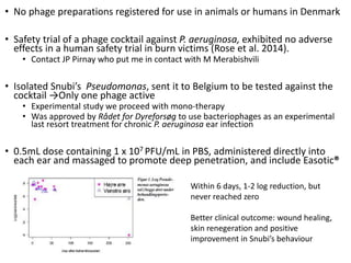 Challenges of using phages in the veterinary world: My learning curve