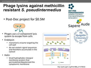 Challenges of using phages in the veterinary world: My learning curve