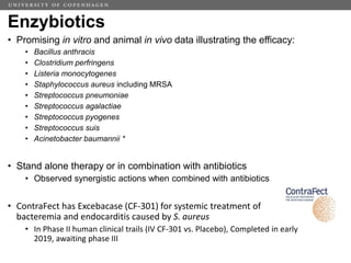 Challenges of using phages in the veterinary world: My learning curve