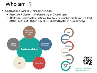 Challenges of using phages in the veterinary world: My learning curve