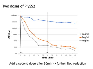 Challenges of using phages in the veterinary world: My learning curve