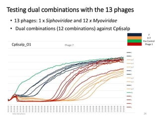 Challenges of using phages in the veterinary world: My learning curve