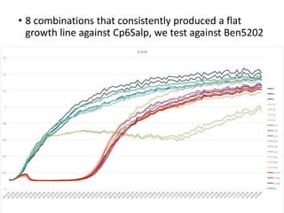 Challenges of using phages in the veterinary world: My learning curve