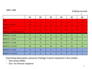 Challenges of using phages in the veterinary world: My learning curve