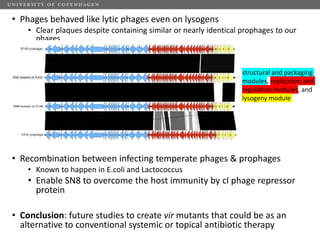 Challenges of using phages in the veterinary world: My learning curve