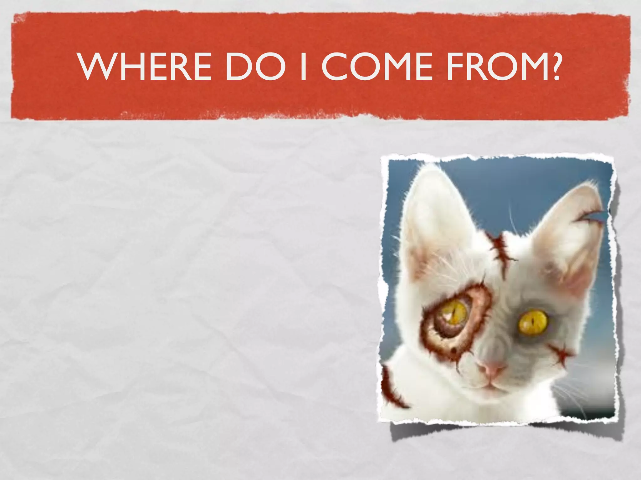 WHERE DO I COME FROM?
 