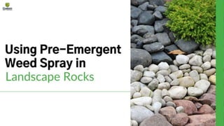 Using Pre-Emergent Weed Spray in Landscape Rocks