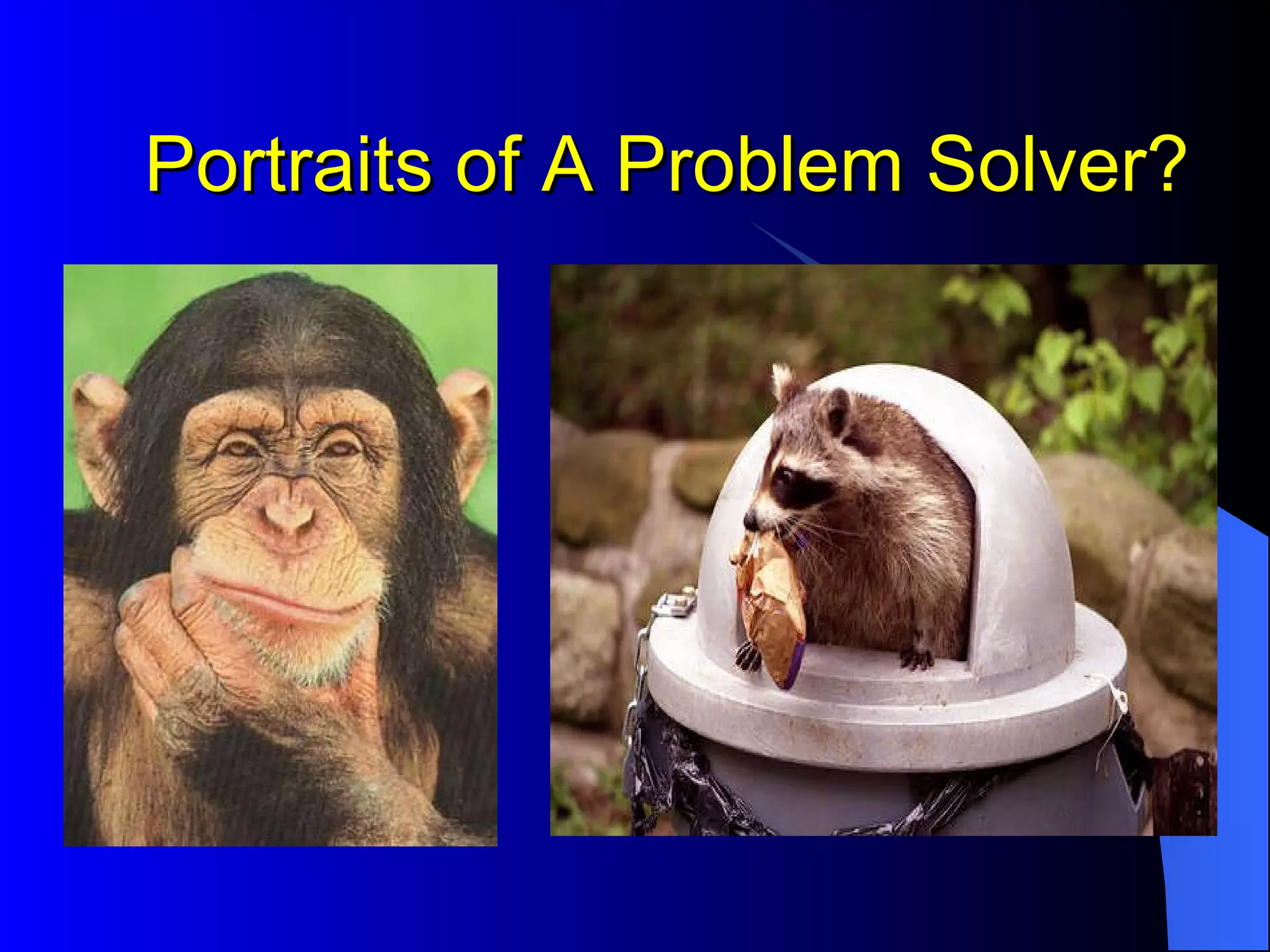 Portraits of A Problem Solver? 