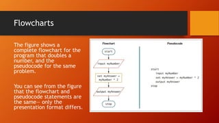 Using Pseudocode Statements and Flowchart Symbols | PPT