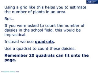 Plants math worksheets quadrants