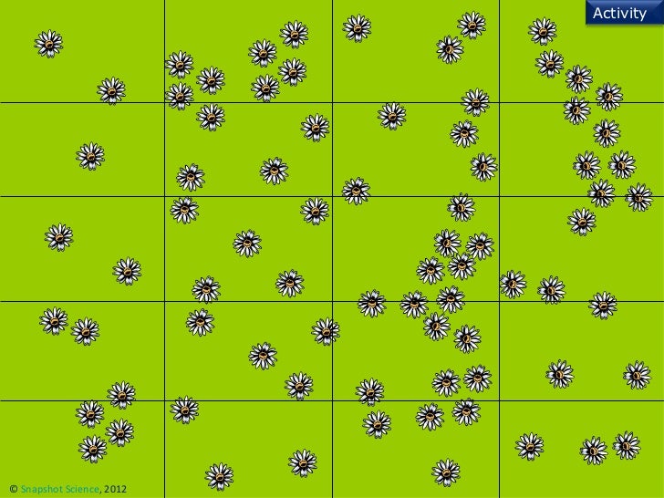 Using quadrats