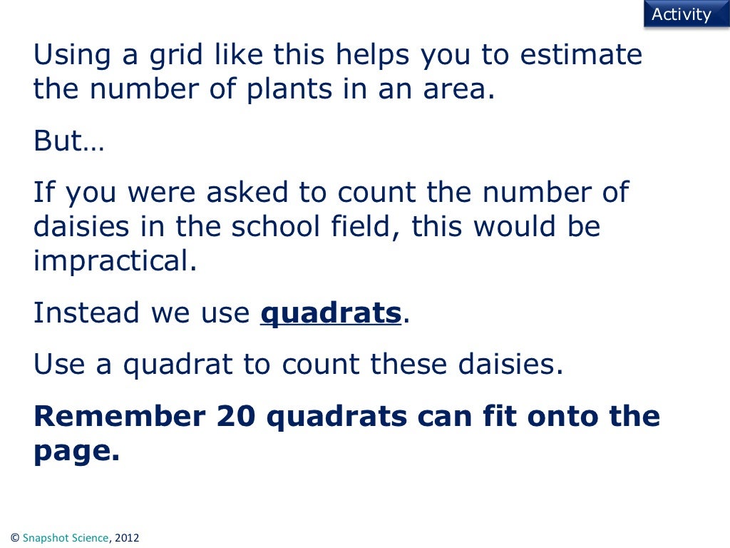 Using quadrats