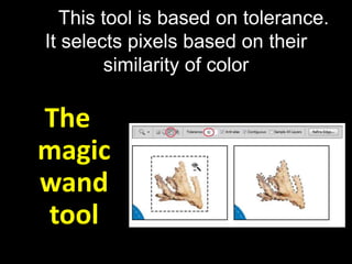 This tool is based on tolerance.
It selects pixels based on their
        similarity of color

The
magic
wand
tool
 