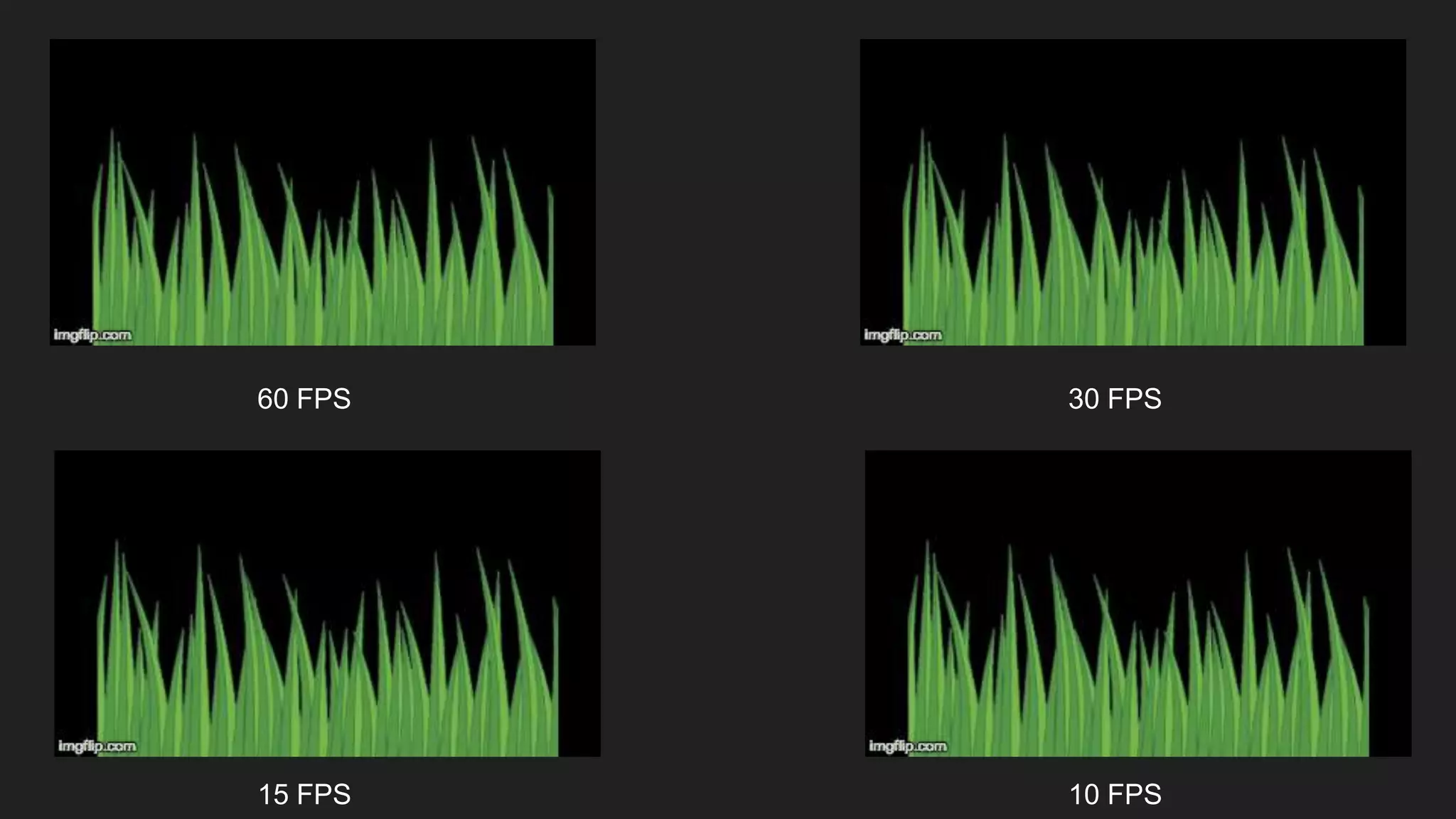 60 FPS
60 FPS 30 FPS
15 FPS 10 FPS
 