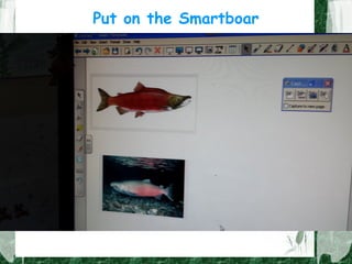 Put on the Smartboar
 