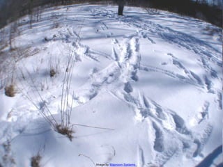 Image by Maproom Systems