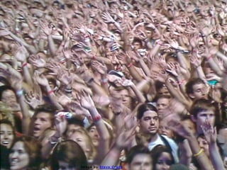 Image by Steve Crane