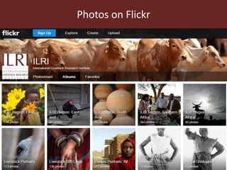 Using social media to communicate research: Experiences of the International Livestock Research Institute
