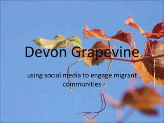 Devon Grapevine using social media to engage migrant communities 