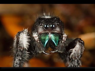 Using Social Media To Keep Residents Engaged