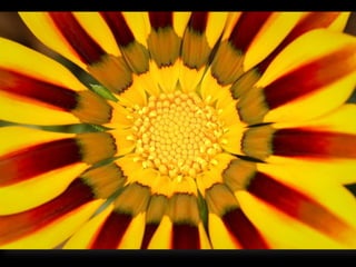 Using Social Media To Keep Residents Engaged