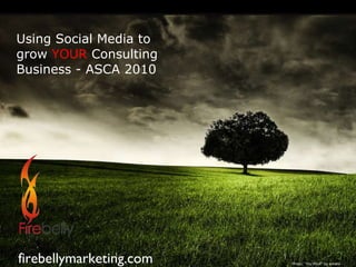 Using Social Media to grow   YOUR  Consulting Business - ASCA 2010 firebellymarketing.com Photo: “my Mind” by emats 